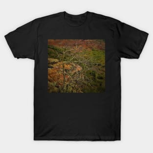 Branches at a Hight T-Shirt